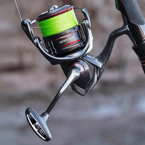 Spinmolens & Reels