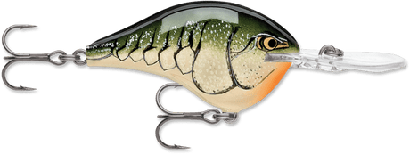 Rapala - DT - 6 - Hengelsport De Goeie Vangst