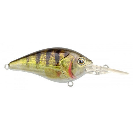 Spro - Ikiru Crank Long Lip - Hengelsport De Goeie Vangst