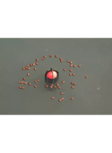 Avid Carp - Surface Spod - Hengelsport De Goeie Vangst
