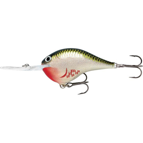 Rapala - DT - 14 - Hengelsport De Goeie Vangst