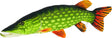 Gaby - The Pike Knuffel | 80cm - Hengelsport De Goeie Vangst